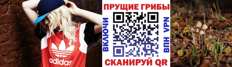 Галлюциногенные грибы Psilocybe  Купить  Лосино-Петровский 