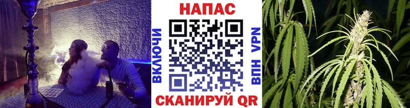 Купить  Лосино-Петровский  Марихуана план 